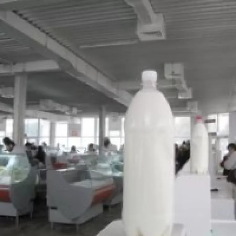 Comunistii au castigat alegerile in Moldova