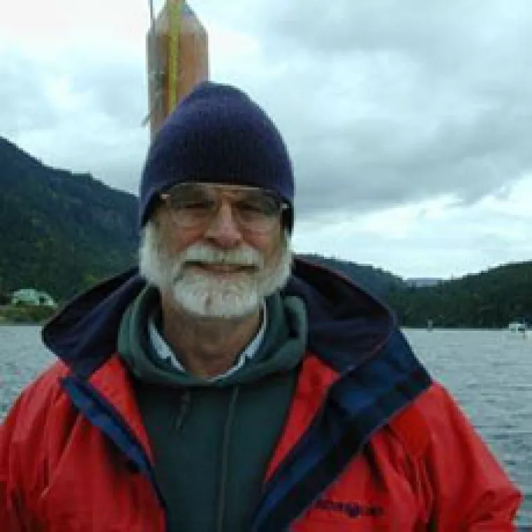 Google cauta persoane disparute.