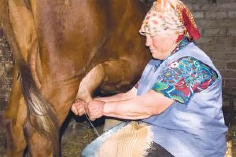 Jumatate din olteni si-au pierdut cota de lapte