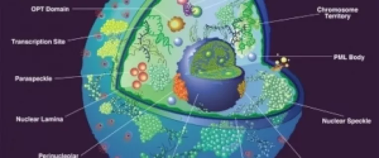 Lumea din interiorul Pamantului, un Eden in care oamenii traiesc in pace