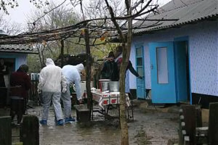 Mii de infractori mai tari ca politia.