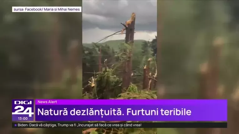 O furtuna violenta a pus la pamant o padure intreaga in Maramures