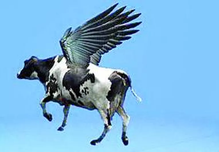 Primar trimis la consult psihiatric