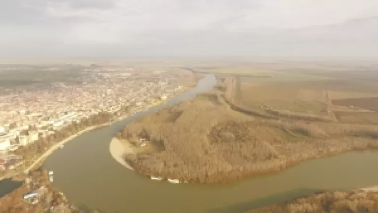 Si plopii au o varsta a taierii!